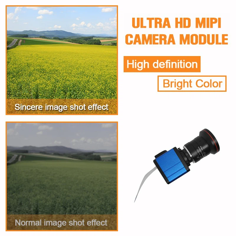product-800-800 product-800-800